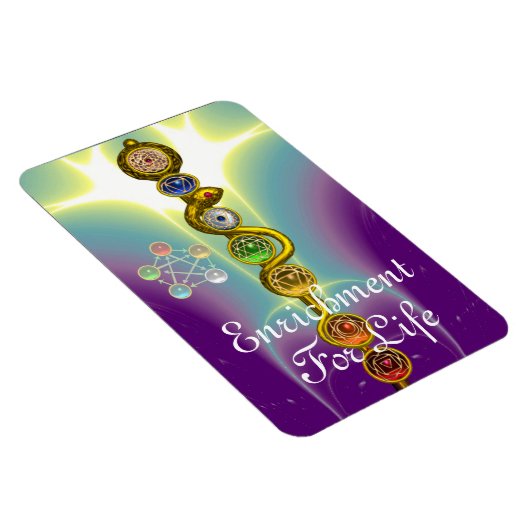 ROD VAN ASCLEPIUS 7 CHAKRAS, YOGA, SPIRITUELE ENER MAGNEET (Rechterzijde)