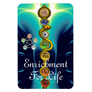 ROD VAN ASCLEPIUS 7 CHAKRAS, YOGA, SPIRITUELE ENER MAGNEET