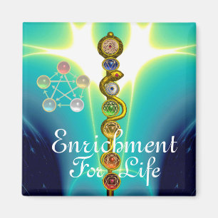 ROD VAN ASCLEPIUS 7 CHAKRAS, YOGA, SPIRITUELE ENER MAGNEET