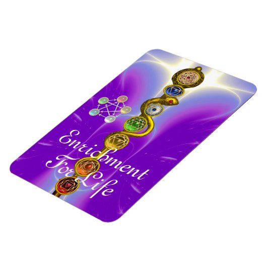 ROD VAN ASCLEPIUS 7 CHAKRAS, YOGA, SPIRITUELE ENER MAGNEET (Linkerzijde)