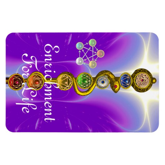 ROD VAN ASCLEPIUS 7 CHAKRAS, YOGA, SPIRITUELE ENER MAGNEET (Horizontaal)