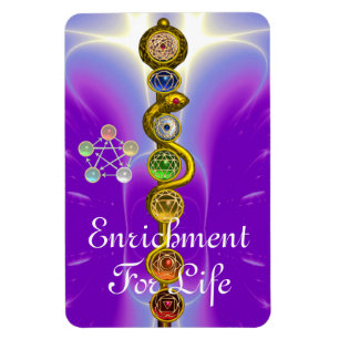 ROD VAN ASCLEPIUS 7 CHAKRAS, YOGA, SPIRITUELE ENER MAGNEET