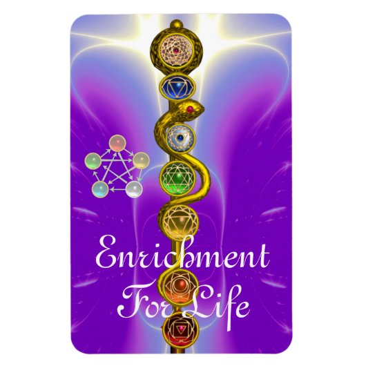 ROD VAN ASCLEPIUS 7 CHAKRAS, YOGA, SPIRITUELE ENER MAGNEET (Verticaal)