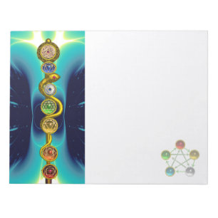 ROD VAN ASCLEPIUS 7 CHAKRAS, YOGA, SPIRITUELE ENER NOTITIEBLOK