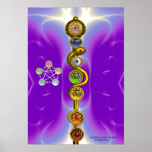 ROD VAN ASCLEPIUS 7 CHAKRAS, YOGA, SPIRITUELE ENER POSTER