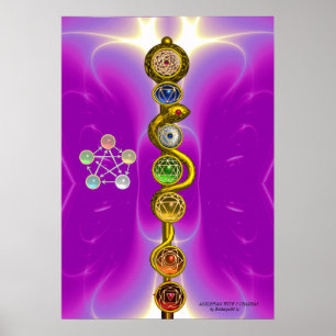 ROD VAN ASCLEPIUS 7 CHAKRAS, YOGA, SPIRITUELE ENER POSTER