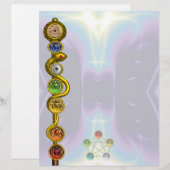 ROD VAN ASCLEPIUS MET 7 CHAKRAS, SPIRITUELE ENERGI (Voorkant / Achterkant)