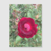 roddelmagneet voor Roos (Voorkant)