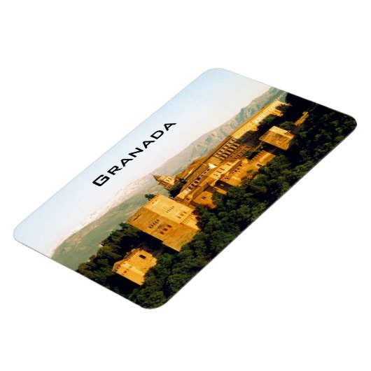 rode aalbaars magneet (Linkerzijde)