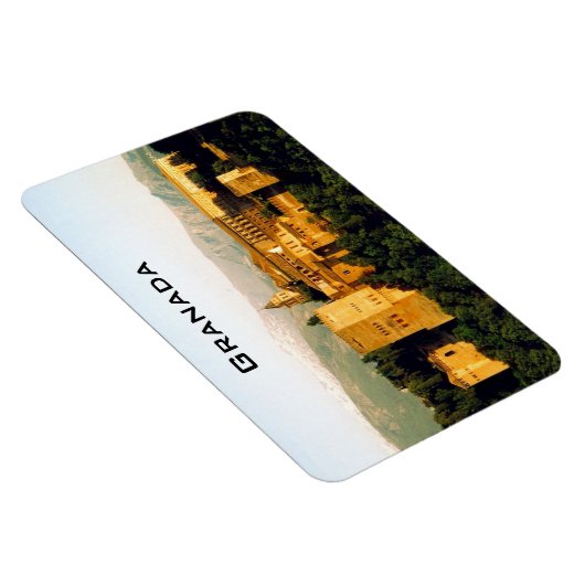 rode aalbaars magneet (Rechterzijde)