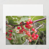 rode aalbes feestdagenkaart (Voorkant / Achterkant)