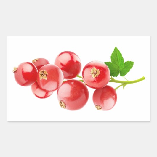 Rode aalbessen rechthoekige sticker (Voorkant)