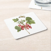 rode aalbessen (Ribes rubrum) van Redouté Kartonnen Onderzetters (Schuin)