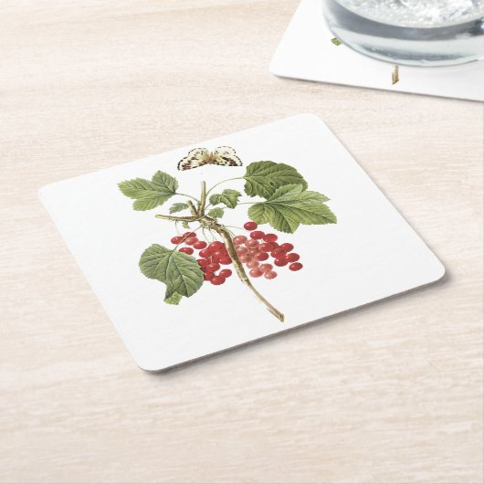 rode aalbessen (Ribes rubrum) van Redouté Kartonnen Onderzetters (Schuin)