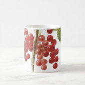 rode aalbessen (Ribes rubrum) van Redouté Koffiemok (Center)