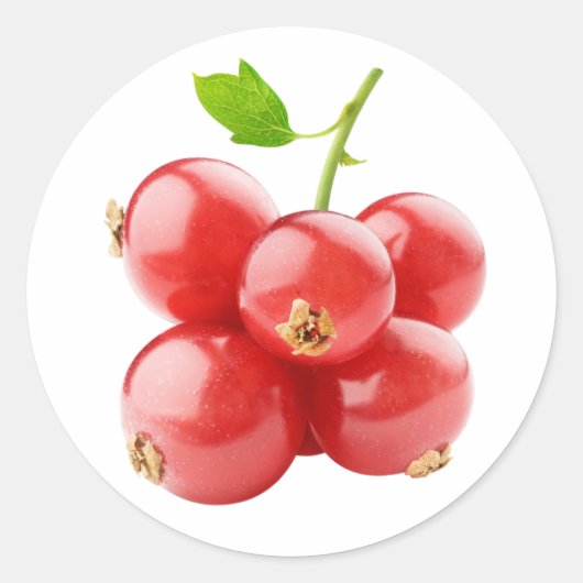 Rode aalbessen ronde sticker (Voorkant)