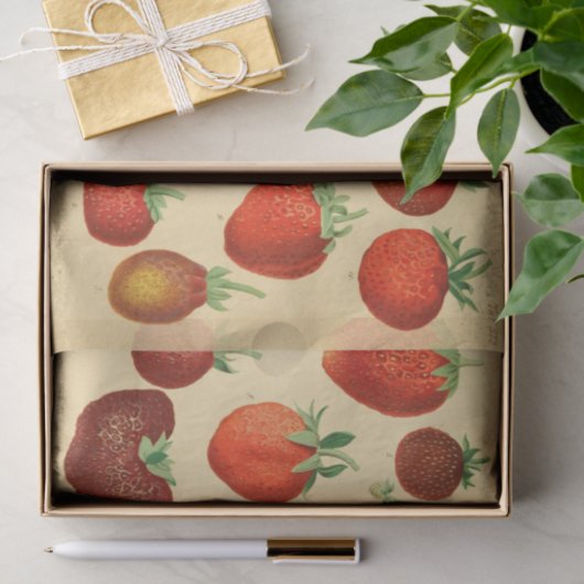 Rode aardbei Ephemera Decoupage Tissuepapier (Geschenk)