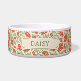 Rode aardbei & groene bladeren patroon voerbakje