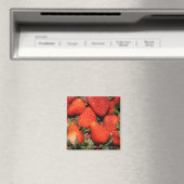 rode aardbeien vruchten magneet (Insitu (Vaatwasser))