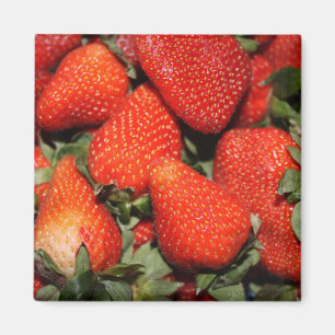rode aardbeien vruchten magneet