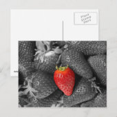 Rode aardbeienkaart briefkaart (Voorkant / Achterkant)