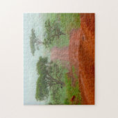 Rode Aarde Weg Veldt Mist Zuid-Afrika. Legpuzzel (Verticaal)