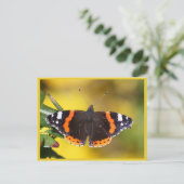 Rode admiraal briefkaart (Staand voorkant)