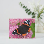 Rode admiraal op Sedum (herfst Joy) Briefkaart (Staand voorkant)