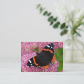 Rode admiraal op Sedum (herfst Joy) Visitekaartje (Staand voorkant)