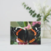 Rode admiraal, Vanessa atalanta Briefkaart (Staand voorkant)