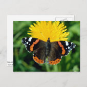 Rode admiraal, Vanessa atalanta Briefkaart (Voorkant / Achterkant)