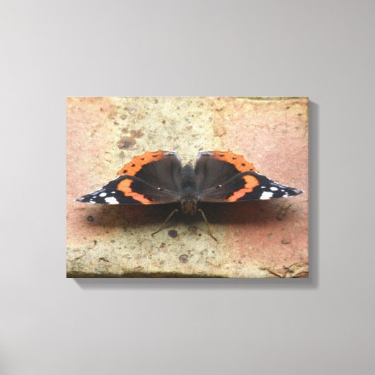 Rode Admiraalvlinder Canvasprint Canvas Afdruk (Voorkant)