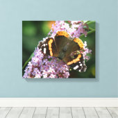 Rode Admiraalvlinder en Buddleia Canvasprint Canvas Afdruk (Insitu (Houten vloer))