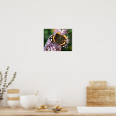 Rode Admiraalvlinder en Buddleia Poster (Keuken)