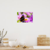 Rode admiraalvlinder op bloem Poster (Keuken)
