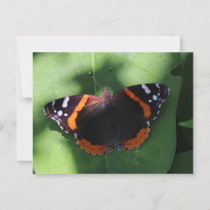 Rode Admiraalvlinder op Groene Bladeren  Briefkaart