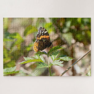 Rode Admiraalvlinder Pacific Northwest Legpuzzel