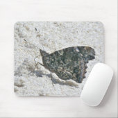 Rode admirale vlinder op Beach Coordinating Items Muismat (Met muis)