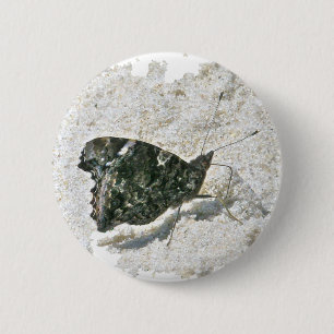Rode admirale vlinder op Beach Coordinating Items Ronde Button 5,7 Cm
