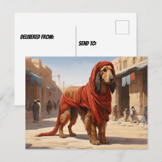 Rode Afghaanse hond in oude stad Briefkaart (Voorkant / Achterkant)