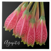 Rode Agapetes Bloemen op Zwarte Bloemen Tegeltje (Voorkant)