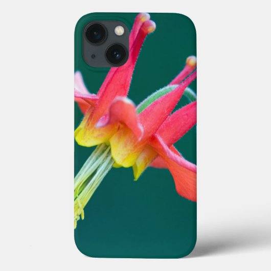 Rode Akelei Case-Mate iPhone Case (Achterkant)