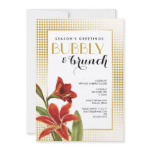 Rode Amaryllis Bloem Goud gecontroleerd