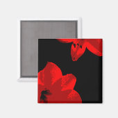 rode amaryllis duo magneet (Voorkant / Achterkant)