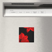 rode amaryllis duo magneet (Insitu (Vaatwasser))