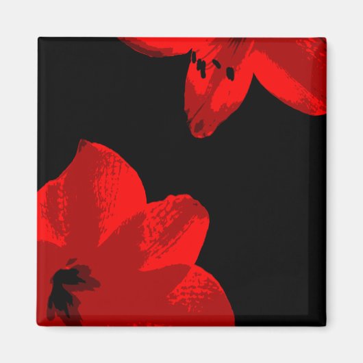 rode amaryllis duo magneet (Voorkant)