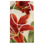  rode Amaryllis Flower Christmas Gift Bag Klein Cadeauzakje (Achterkant)