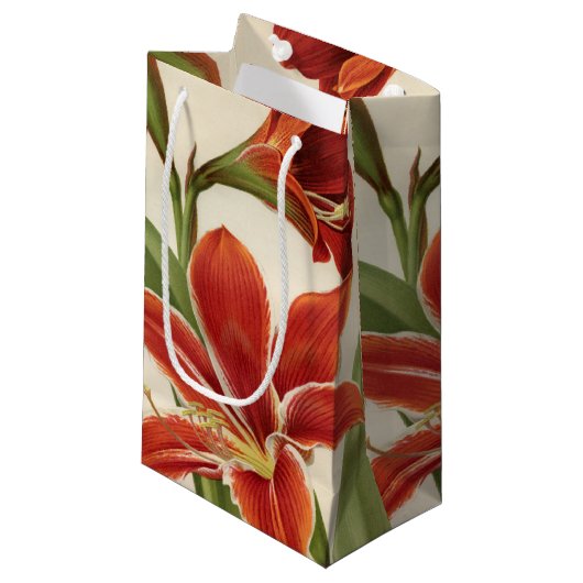  rode Amaryllis Flower Christmas Gift Bag Klein Cadeauzakje (Voorkant Gekanteld)