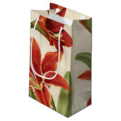  rode Amaryllis Flower Christmas Gift Bag Klein Cadeauzakje (Achterkant Gekanteld)