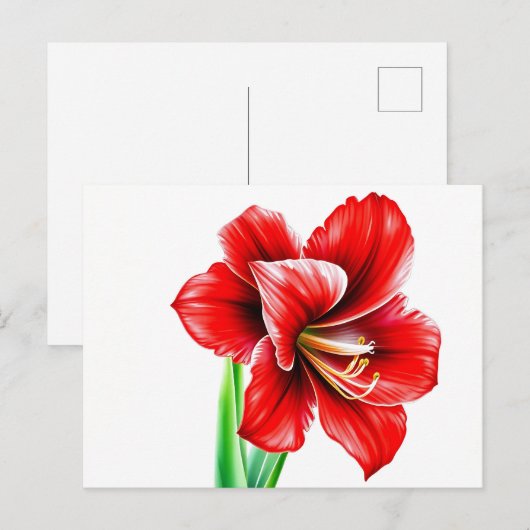 Rode amaryllis in Waterverf Briefkaart (Voorkant / Achterkant)